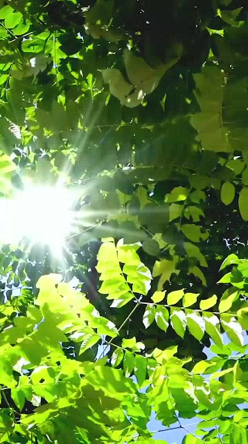 Máy lọc không khí khử mùi khử khuẩn ô tô EraClean CW-C02 công nghệ ion âm - nhỏ gọn - Máy khử mùi ô tô | BigBuy360 - bigbuy360.vn