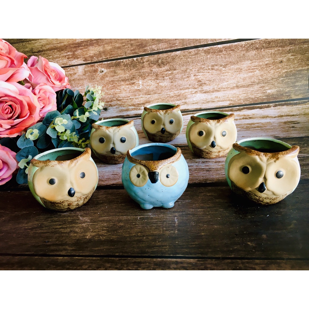 GỐM NHẬT - CHẬU CÂY MINI HÌNH CÚ DỄ THƯƠNG