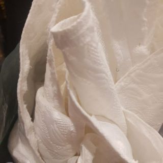 Chị vân nasa