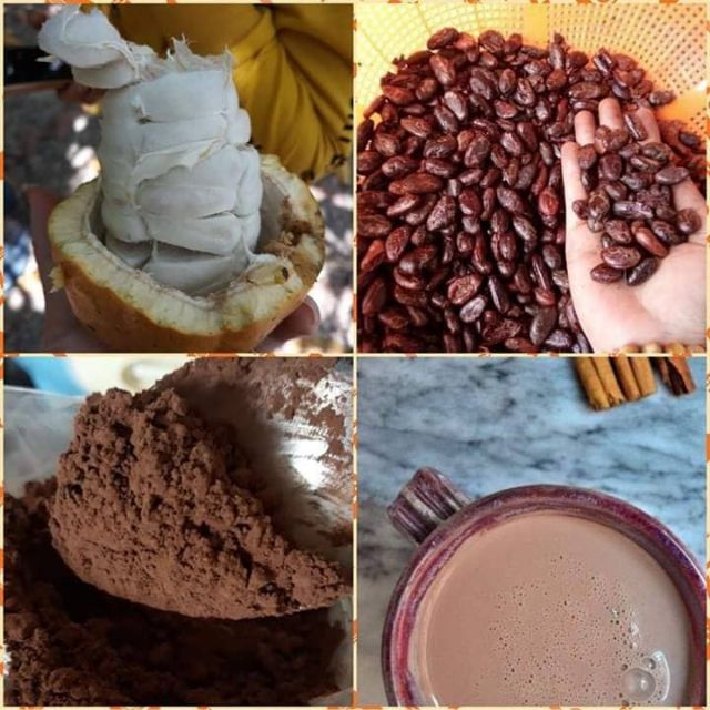 Bột Cacao Daklak hàng chuẩn công ty nguyên chất thơm ngon hộp 500g