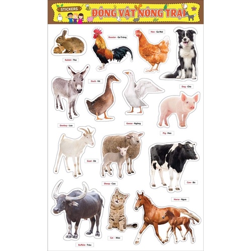 Combo 10 mẫu sản phẩm decal tự chọn