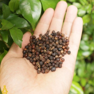 [500gr] Tiêu hạt chín đỏ ĐăkLăk