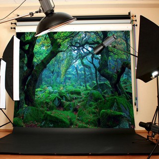 Backdrop Cho Studio Loại Cây Gỗ Rừng Rơi 5X3Ft