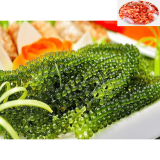 [GIÁ HỦY DIỆT] - COMBO 3 GÓI RONG NHO 100G LOẠI 1/ RONG NHO TÁCH NƯỚC