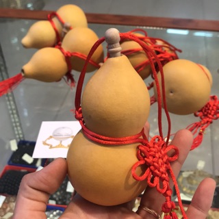 Hồ lô trơn thiên nhiên cắt nắp 3 size .