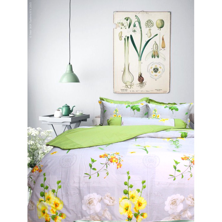 Bộ chăn ga gối drap giường 2 màu xanh tím cotton satin Ai Cập Julia 547
