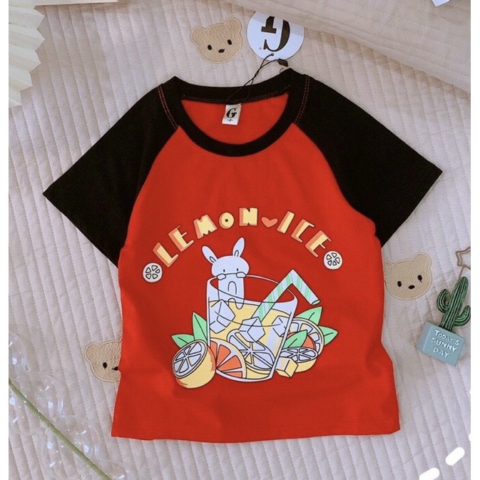 Áo Thun Bé Gái 9-26 Kg Áo Phông Cộc Tay Hàn Quốc Cho Bé Gái 1-6 Tuổi Cotton Chính Phẩm Mềm Mịn Mát Homie Kids