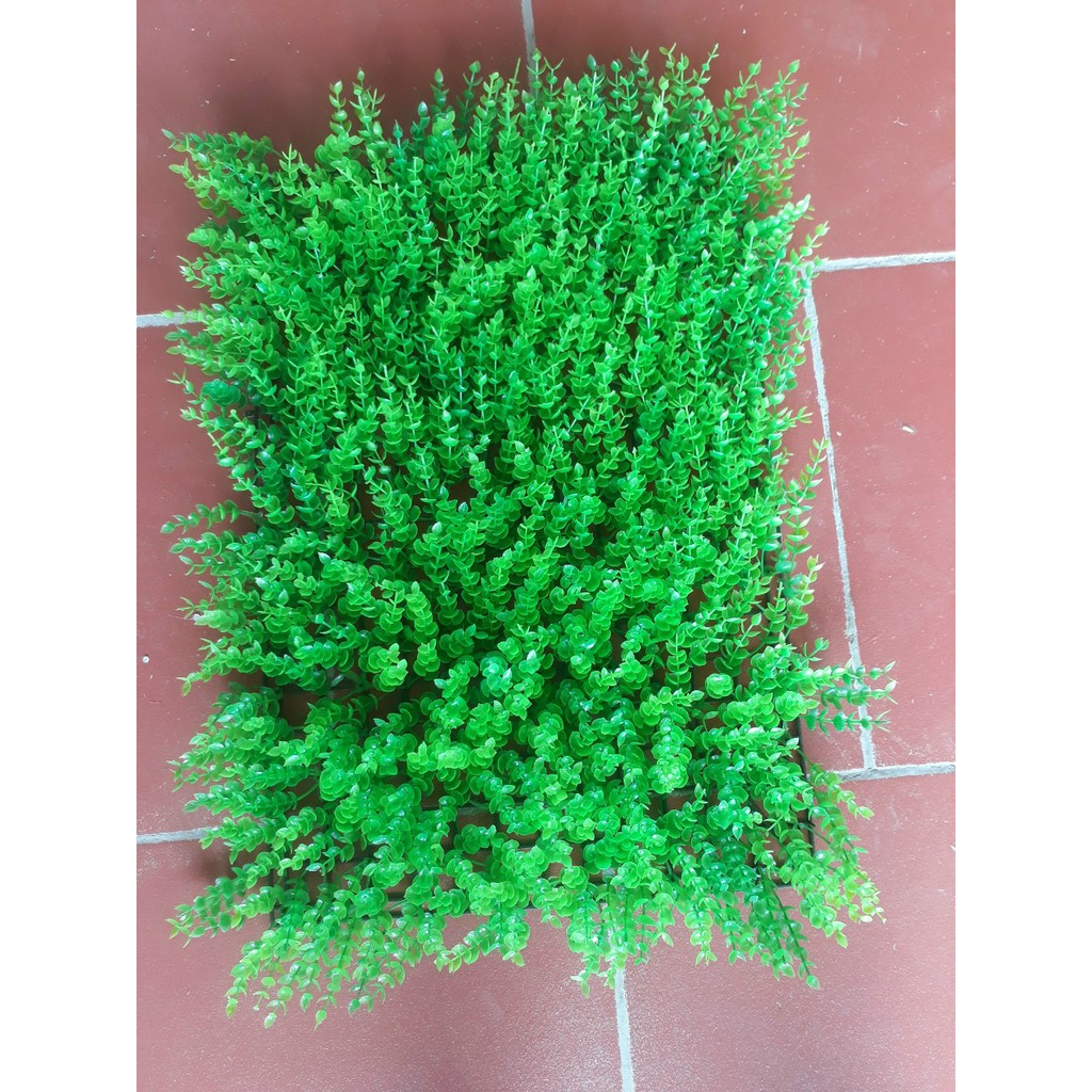 Cỏ Nhân Tạo, Cỏ Tai Chuột. 60cm x40cm Màu Xanh Tươi Non