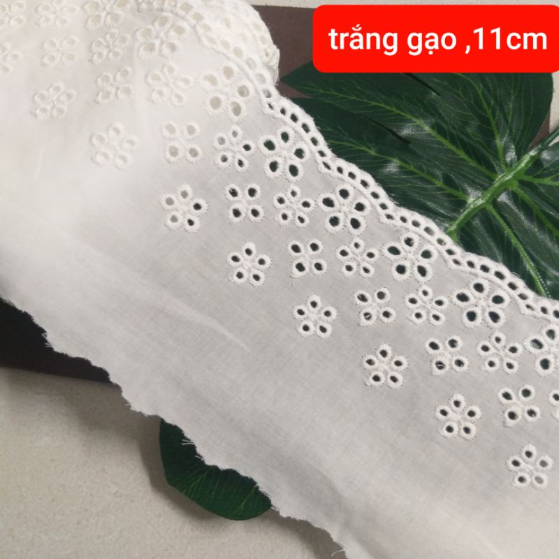 Ren thô boi  , size 6 cm đến 13cm