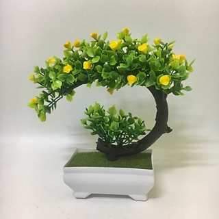 [Handmade] Chậu hoa bonsai tài lộc như ý để bàn M011