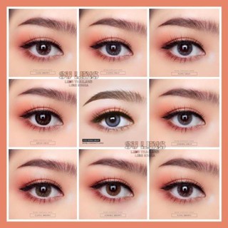 BST LENS NÂU , XÁM TỰ NHIÊN & LENS TÂY