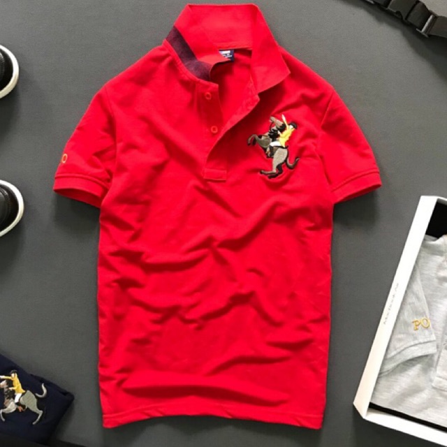 Áo thun nam cổ bẻ hình thêu DBP837 | BigBuy360 - bigbuy360.vn