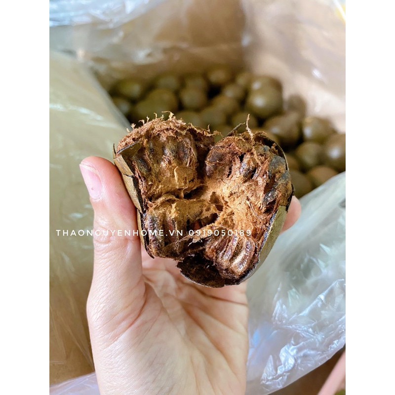 [Mã 267FMCGSALE giảm 8% đơn 500K] Quả la hán cỡ to quả già (1 quả) | BigBuy360 - bigbuy360.vn