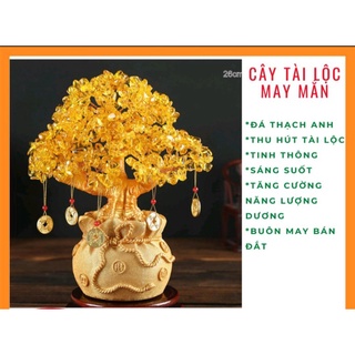 Cây may mắn, cây tài lộc, đá thạch anh cao 18x16cm để bàn làm việc, trang trí ban thờ TẶNG 5 dây đồng xu treo