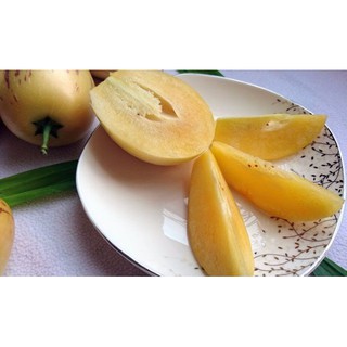 SALE Hạt giống Dưa Pepino F1