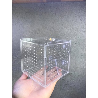 Box mica hít su/ lồng dưỡng tép cá (10x10x10cm)