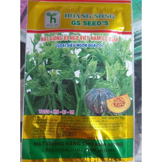 Hạt giống bí ngô siêu ngọn, quả to gói 20gr