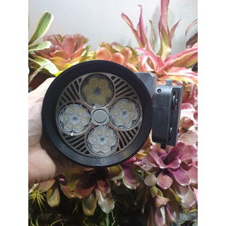[đèn led trồng cây] đèn quang phổ cho cây sinh trưởng