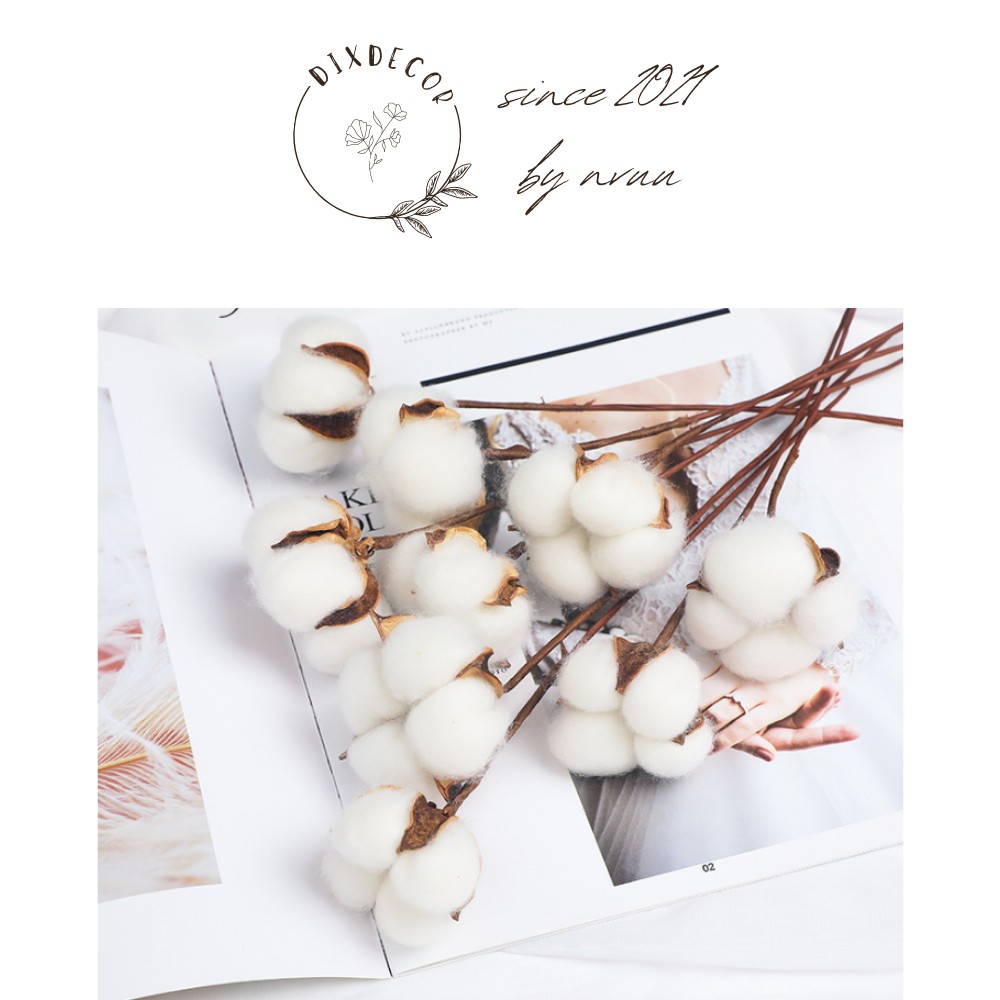 1 Cành Hoa Bông Gòn 50cm Trang Trí Decor