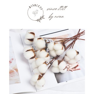 1 Cành Hoa Bông Gòn 50cm Trang Trí Decor