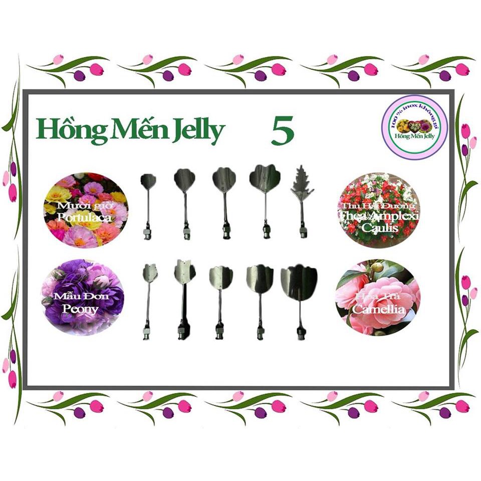 Combo 5 Kim thiết kế Hoa Mười Giờ, Thu Hải Đường, Mẫu Đơn, Hoa Trà