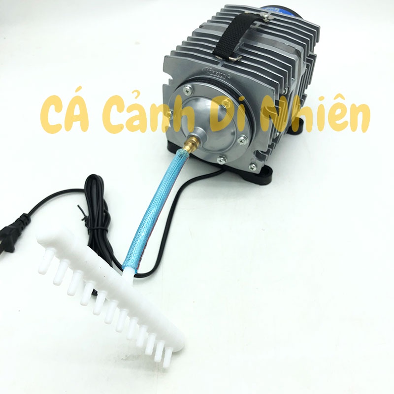 Máy sục sủi thổi khí oxy hồ cá cảnh Resun ACO-008 - Máy Oxy Bể Cá 120W