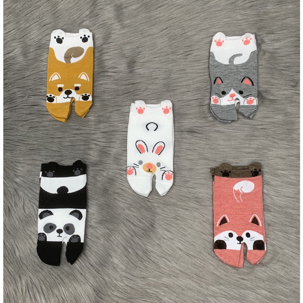 HCM]Combo 5 đôi vớ tất nữ hình in 3D, thun cotton ,giao nhiều màu ngẩu nhiên, không trùng lập ,ảnh thật ,bảo đảm giao đ