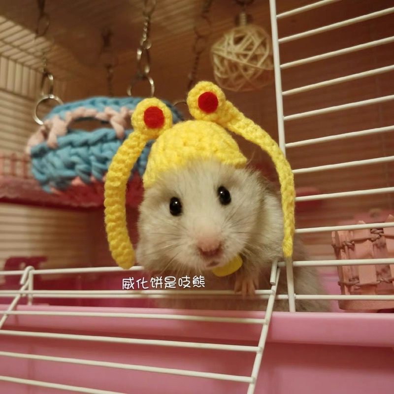 mũ nón hamster thuỷ thủ mặt trăng