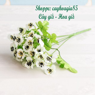 Hoa giả - Cành hoa cánh bướm