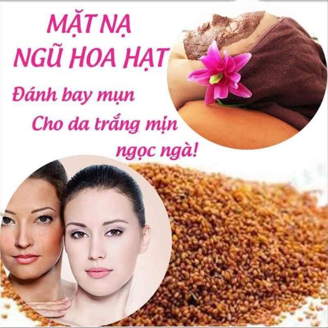 500gr hạt ngũ hoa nguyên chất (ngũ hoa hạt, hạt đình lịch) handmade