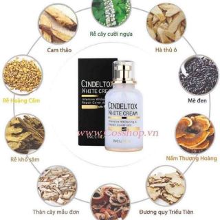 Kem truyền trắng cindeltox