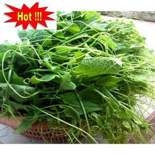 Hạt giống Bí Siêu Ngọn 10gram