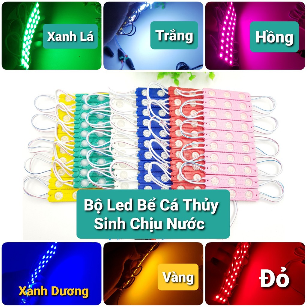 Bộ Đèn Led Chịu Nước 12V Thủy Sinh ❤️Đèn Led Bể Cá❤️Đèn Báo Sự Cố ❤️Led Trang Trí Nhà Cửa Siêu Bền | BigBuy360 - bigbuy360.vn