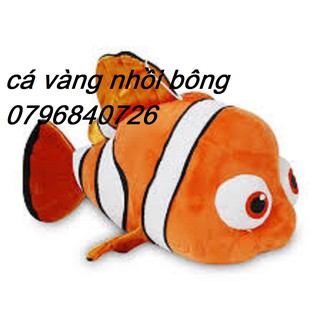Cá vàng nhồi bông