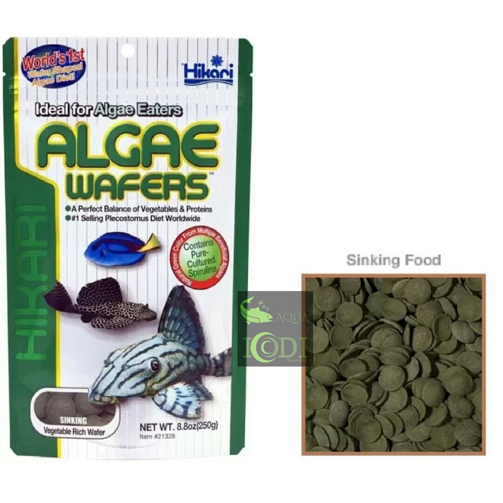 Thức ăn cho cá Hikari Tropical Algae Wafers