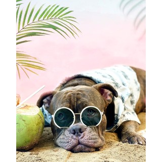 Áo sơ mi Hello Summer