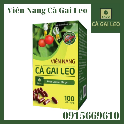 Viên nang Cà Gai Leo Sadu - Hộp 100 viên