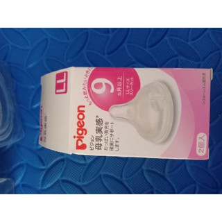 combo núm ty pigeon size L và Ll