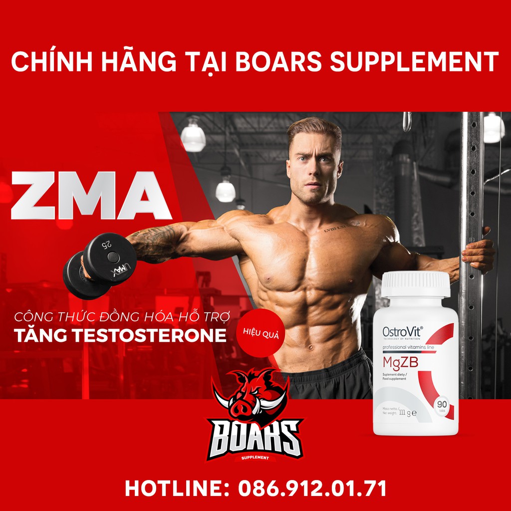 ZMA - BỔ SUNG VITAMIN GIÚP TĂNG CƯỜNG SỨC MẠNH ,TĂNG MIỄN DỊCH, TESTOSTERONE (90 VIÊN)