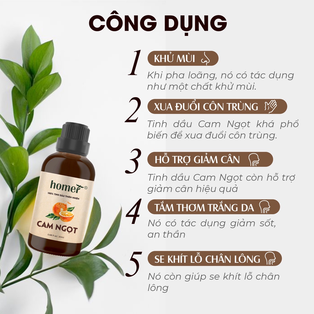 Combo 3 tinh dầu Bạc Hà + Cam Ngọt + Vỏ Bưởi Homer 20ml/chai