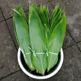 50 lá chít to gói bánh  (lá chọn size lớn)
