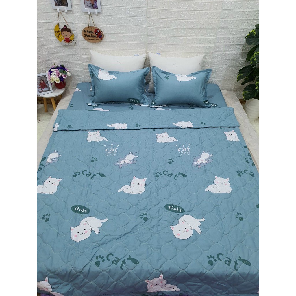 Bộ 5 Món Drap Mền Hè Poly Cotton Gồm Mền Hè + Drap + 2 Áo Gối + Áo Gối Ôm Đủ Kích Cỡ 1m2 1m4 1m6 1m8 2m2 Hàng Mới 2022 | BigBuy360 - bigbuy360.vn