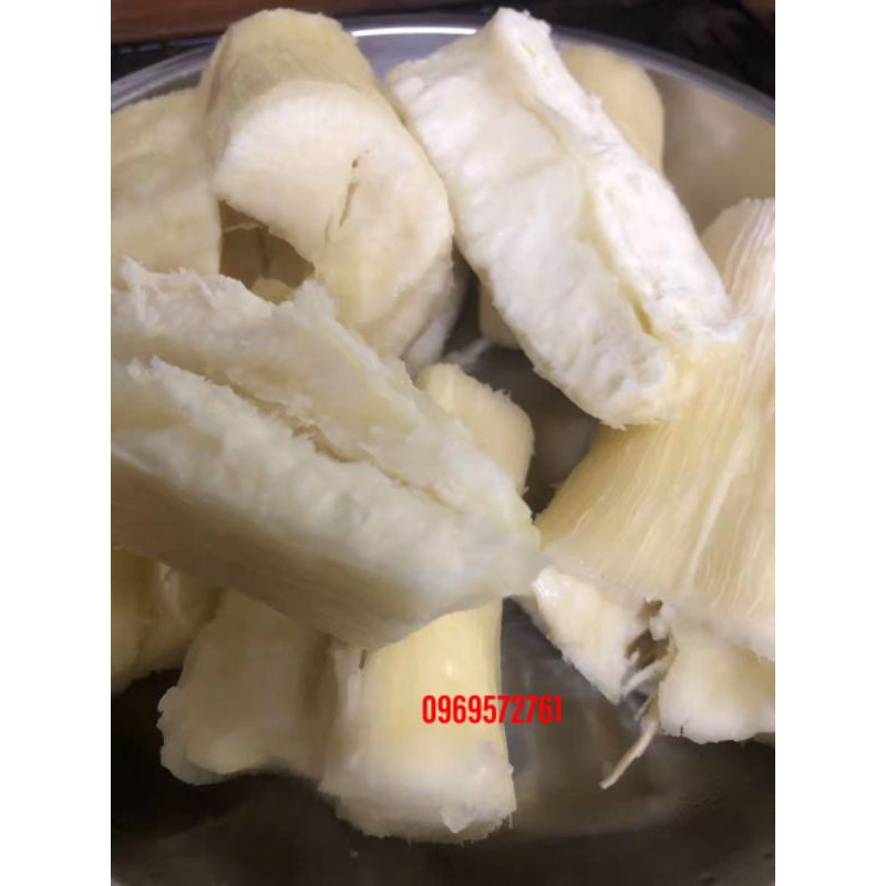 Giống cây sắn  tự nhiên