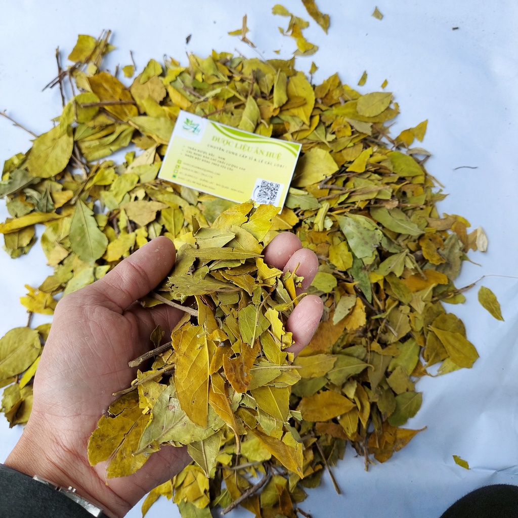 Chè Dung (Trà Dung Khô) Giảm Cân, Thanh Nhiệt, Tốt Cho Dạ Dày 1KG