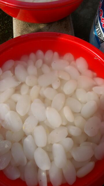 1kg hạt đác size cực to | BigBuy360 - bigbuy360.vn