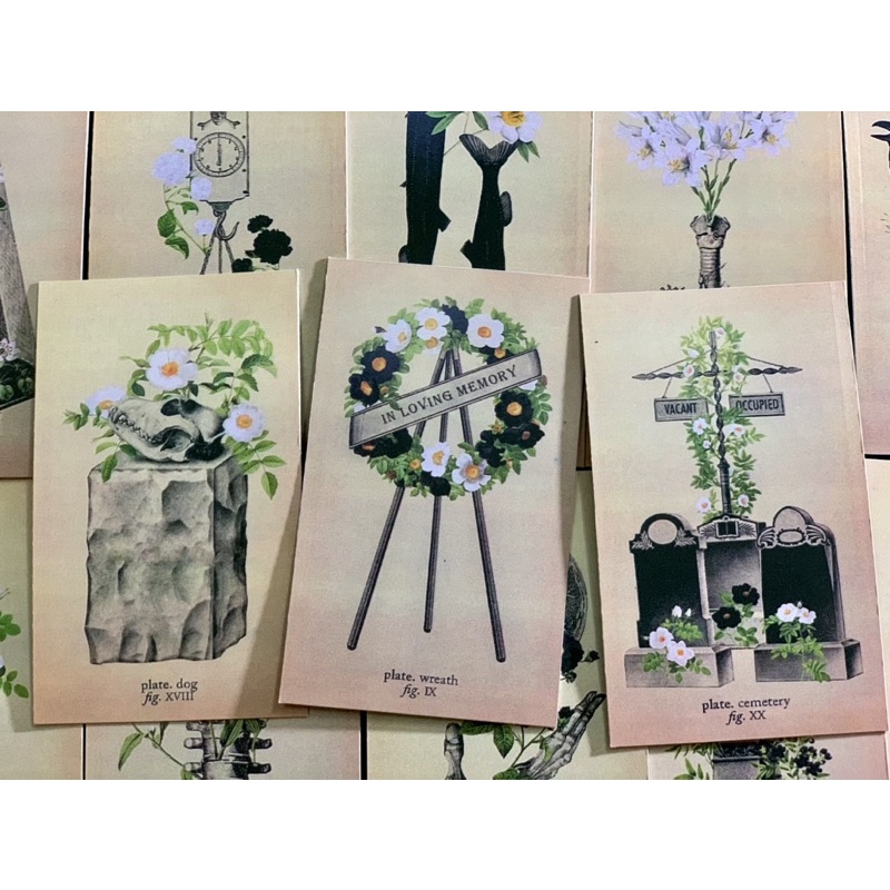 Bộ bài Memento Mori Oracle&Lenormand 85 lá