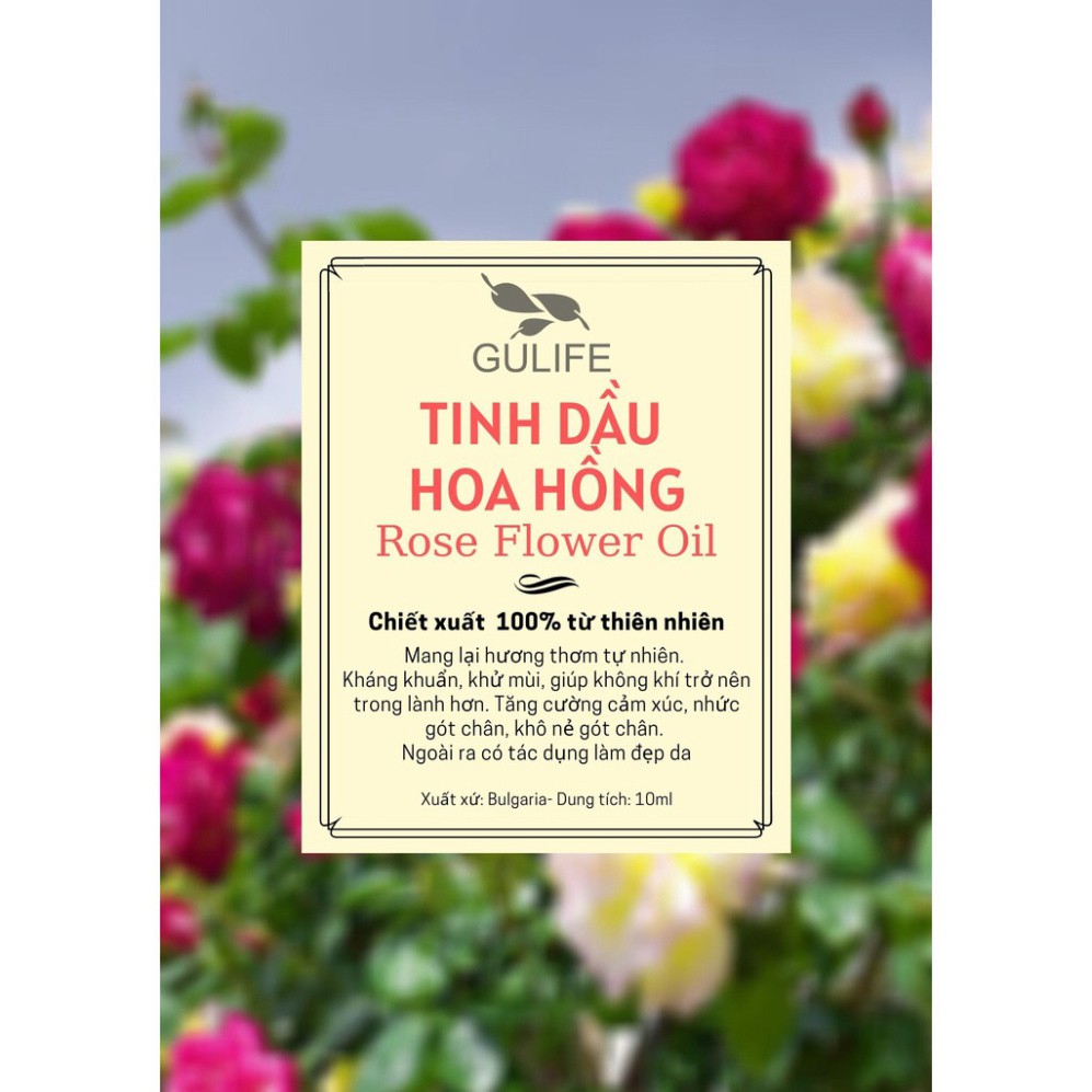 ✅ [Chính Hãng] Tinh dầu Hoa Hồng GULIFE Chiết Xuất Từ Thiên Nhiên - Thơm Phòng, Thư Giãn & Tăng Khoái Cảm