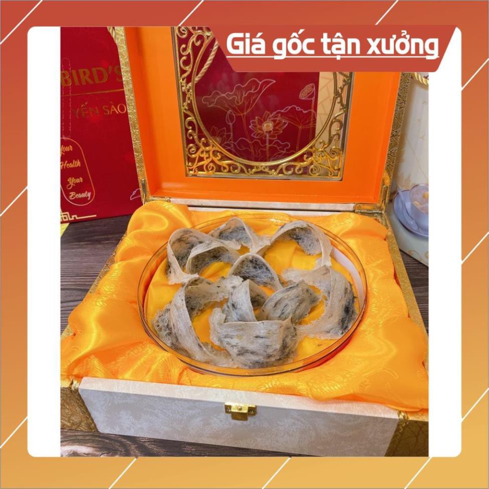 Yến sào Khánh HOà_tổ yến Thô . tổ to đẹp ít lông 50g ( 4-5 tổ ) 100g (9-10 tổ) [ free ship ] | BigBuy360 - bigbuy360.vn