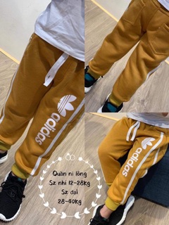 Quần lót lông Adidas thể thao