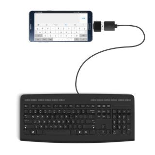Đầu chuyển Type C sang USB OTG